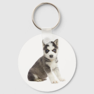 Chaveiro de Cachorro Filhote Husky Siberiano