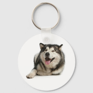 Chaveiro de Cachorro Filhote Malamute do Alasca