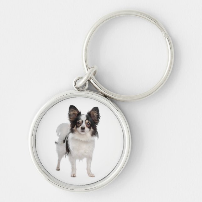 Chaveiro de cachorro filhote Papillon (Frente)