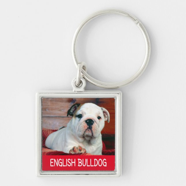 Chaveiro de Cachorro Inglês Bulldog (Frente)