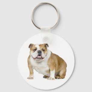 Chaveiro de Cachorro Inglês Fofo