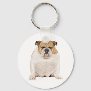 Chaveiro de Cachorro Inglês Fofo