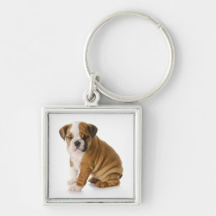 Chaveiro de Cachorro Inglês Fofo