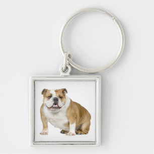 Chaveiro de Cachorro Inglês Fofo
