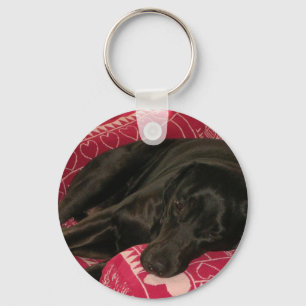 Chaveiro de Cachorro Sonolento