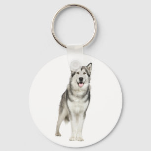 Chaveiro de Cães Malamute do Alaskan