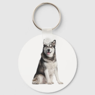 Chaveiro de Cães Malamute do Alaskan