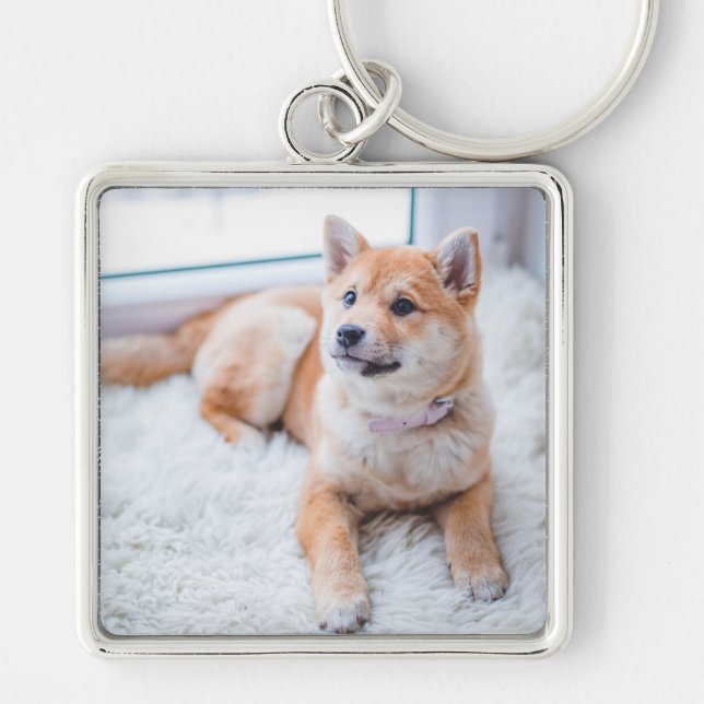 Chaveiro de Cão de Pet Fotográfico Personalizado d (Frente)