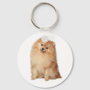 Chaveiro de Cão Pupppy Pom Pom Pomeraniano