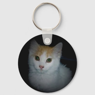 Chaveiro de Cat. 4