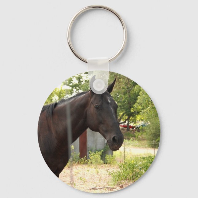 Chaveiro de cavalos (Frente)