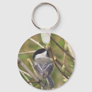 Chaveiro de Chickadee