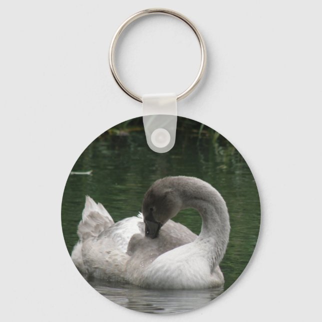 Chaveiro de Cisne Sonolento (Frente)