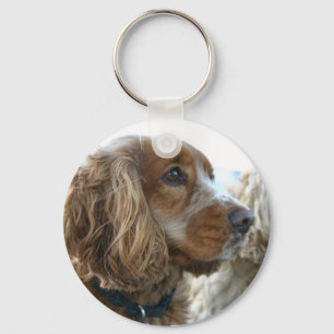 Chaveiro de cocker spaniel do inglês