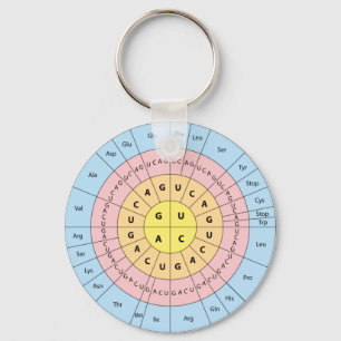 chaveiro de Código Genético