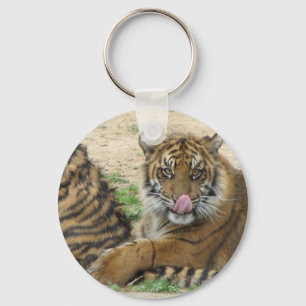 Chaveiro de Cubs de tigre