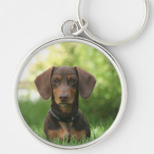 Chaveiro de Dachshund