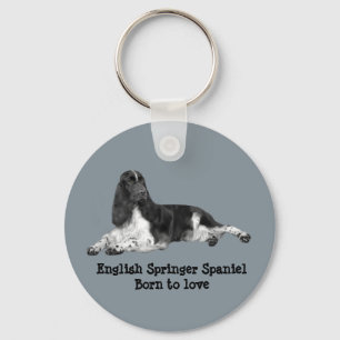 Chaveiro de espanhol do Springer