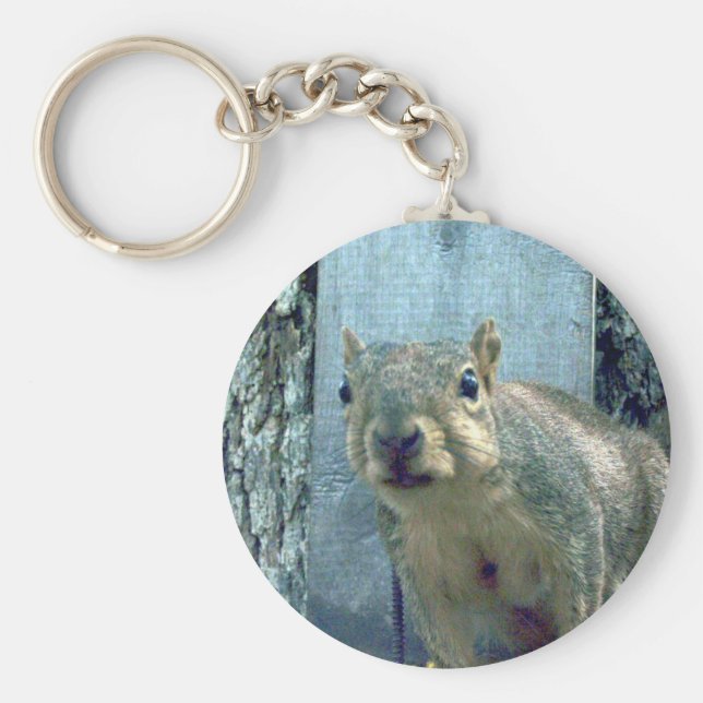 Chaveiro de esquilo (Frente)