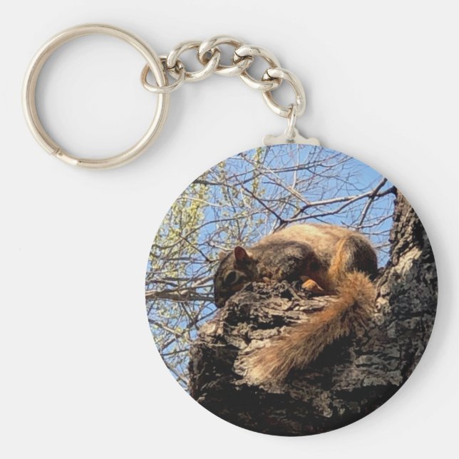 Chaveiro de esquilo (Frente)