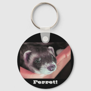 Chaveiro de Ferret de desativação