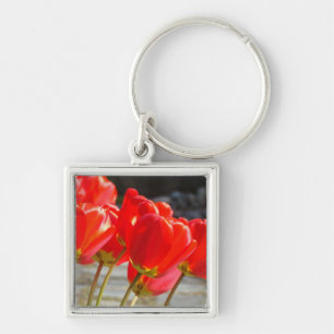 Chaveiro de Flores de Tulipa Tulipas Vermelhas cha
