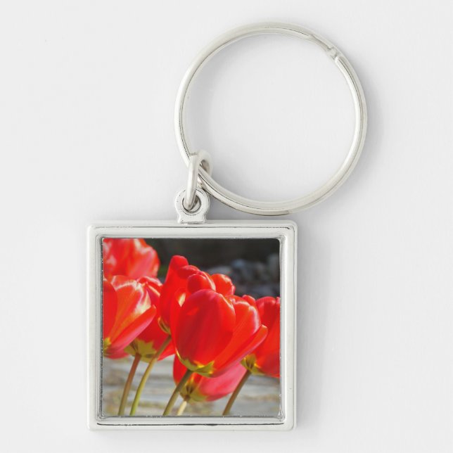 Chaveiro de Flores de Tulipa Tulipas Vermelhas cha (Frente)