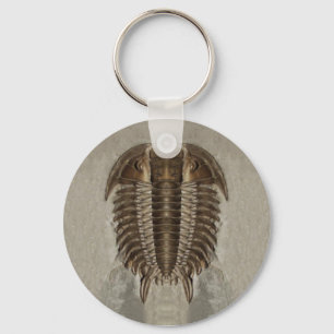 Chaveiro de Fóssil de Trilobite