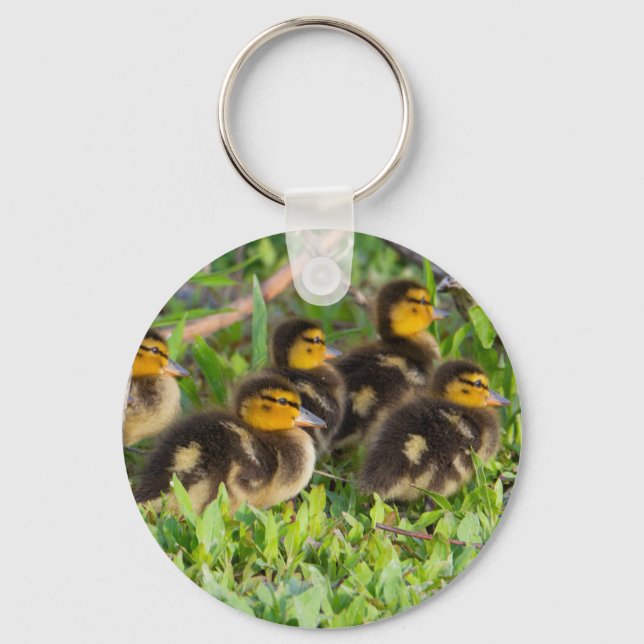Chaveiro de Foto Ducklings (Frente)