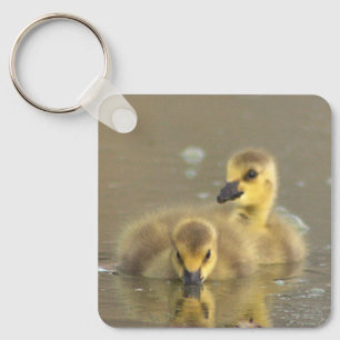 Chaveiro de Fotografia de Goslings