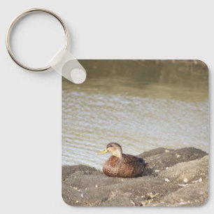 Chaveiro de Fotografia do Pato Mallard