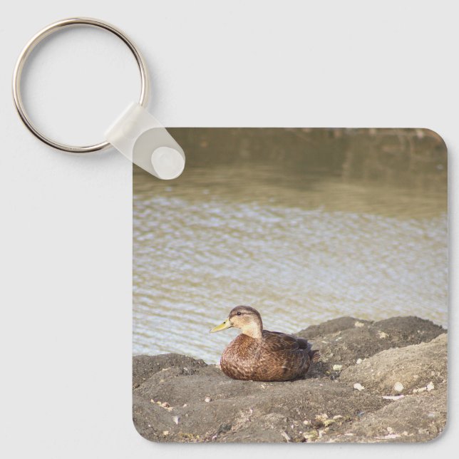 Chaveiro de Fotografia do Pato Mallard (Frente)