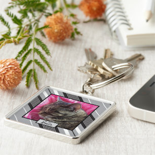 Chaveiro de fotos de gato personalizado elegante c