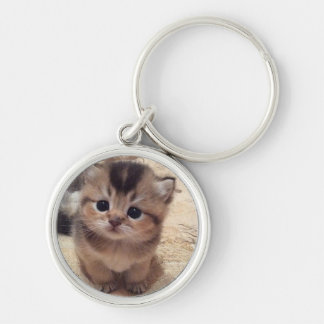 Chaveiro de gato