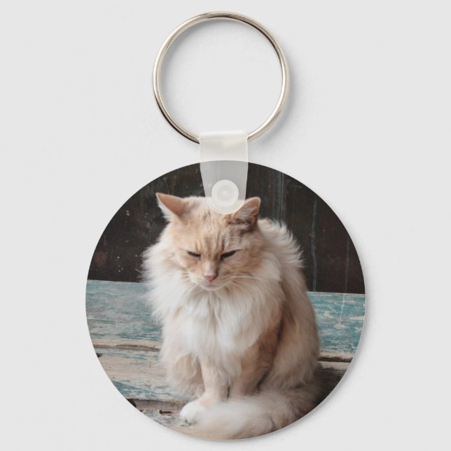 Chaveiro de gato (Frente)