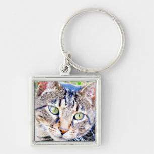 Chaveiro de gato