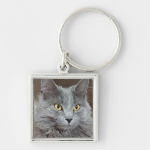 Chaveiro de Gato de Nebelung Azul Russo