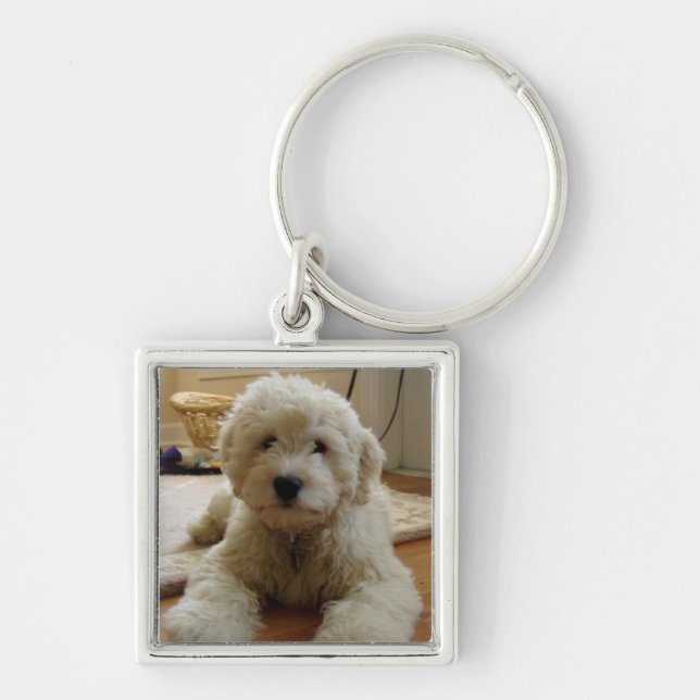 Chaveiro de Goldendoodle (Frente)