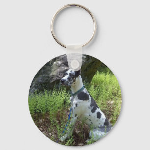Chaveiro de great dane do Harlequin
