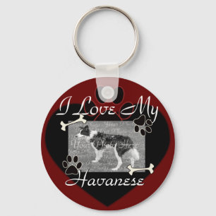 Chaveiro de Havanese