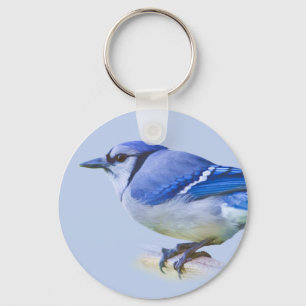 chaveiro de Jay azul