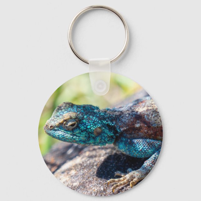 Chaveiro de Lizard multicolorido (Frente)