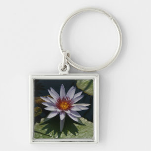 Chaveiro de Lotus branco Waterlily