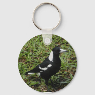 Chaveiro de Magpie australiano