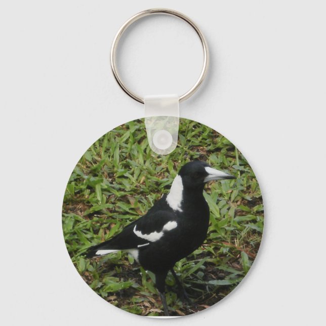 Chaveiro de Magpie australiano (Frente)