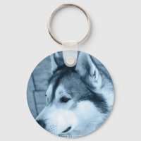 Chaveiro de Malamute no Alasca