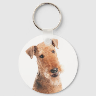 Chaveiro de Orçamento de Cachorro Filhote Airedale