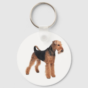 Chaveiro de Orçamento do Cão-Papoeira Airedale T