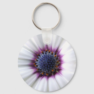 Chaveiro de Osteospurmum