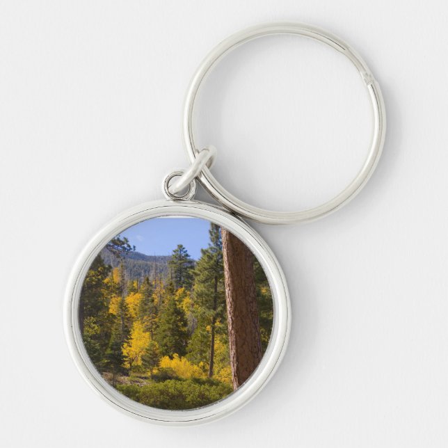 Chaveiro de outono 9 (Frente)